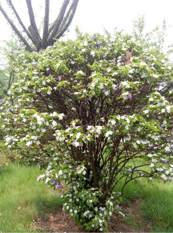 最精彩的中国旋律(二) 请用你的灵魂触摸她!-beat365官网(图4) beat365官网