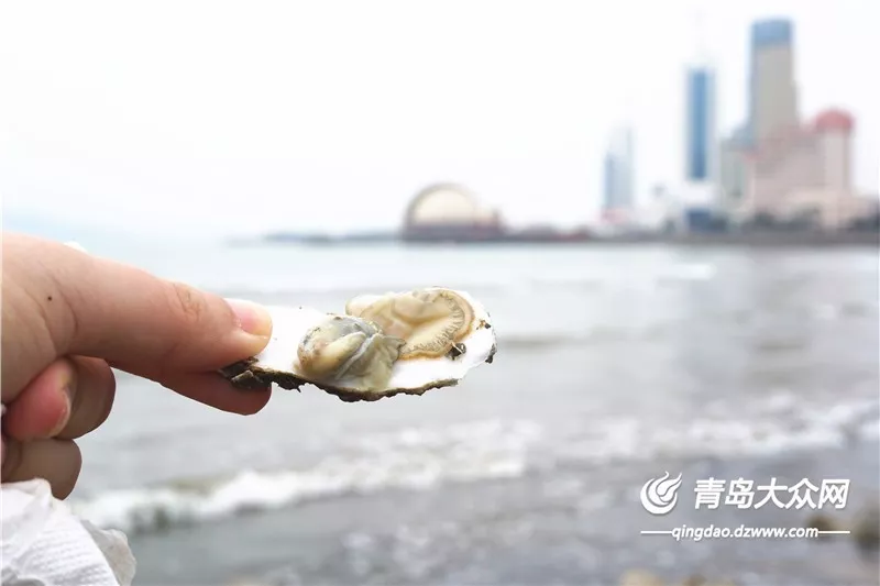 beat365亚洲体育官方网站