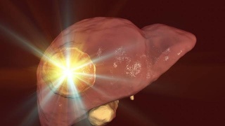 王牌战士天才少年特斯拉攻略 特斯拉玩法技巧解析|beat·365(图1) beat365亚洲体育官方网站