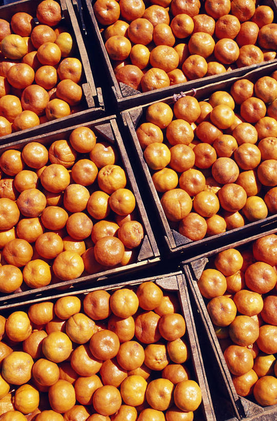 官宣!中国男篮世界排名27位 获奥运会落选赛资格 亚洲另有1队-beat·365(图1) beat365亚洲体育官方网站