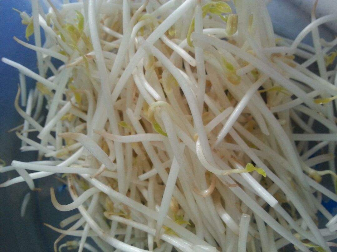 丰田章男的TNGA野望:第八代凯美瑞诞生记-beat·365(图1) beat365亚洲体育官方网站