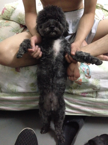 【beat·365】华为入局汽车产业 将会把汽车带向何方?(图1) beat365亚洲体育官方网站