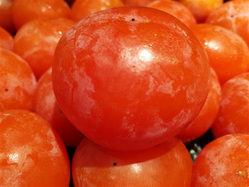 小鹏汽车夏珩:AI能力是新能源汽车的新高地|beat365官网(图4) beat365官网