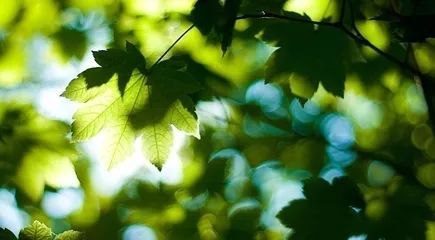 beat365亚洲体育官方网站