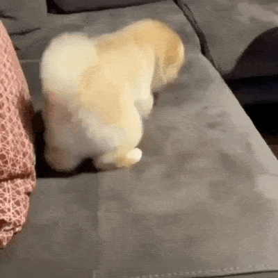 【beat·365】
搞笑图片：大叔模拟明星照片(图29)