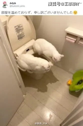 【beat·365】
搞笑图片：大叔模拟明星照片(图35)