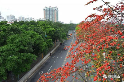 beat365亚洲体育官方网站