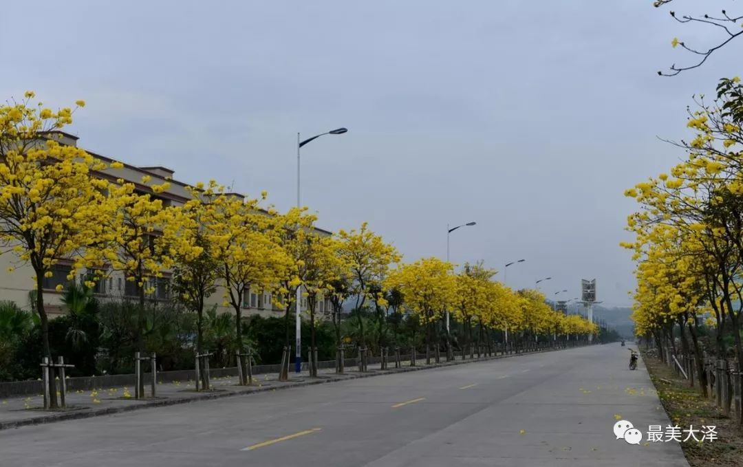 beat365亚洲体育官方网站