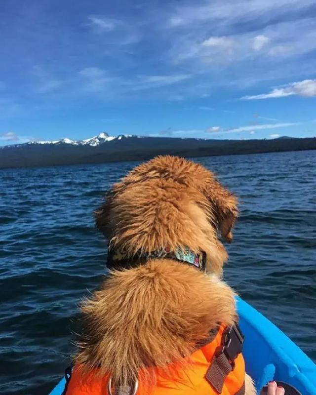 beat365亚洲体育官方网站